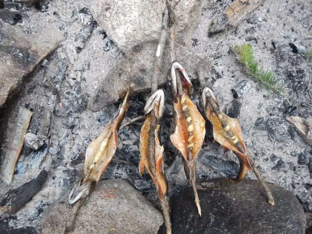 3 Simple and Delicious Ways to Cook Trout in the Backcountry - DSCN2638 1024x768