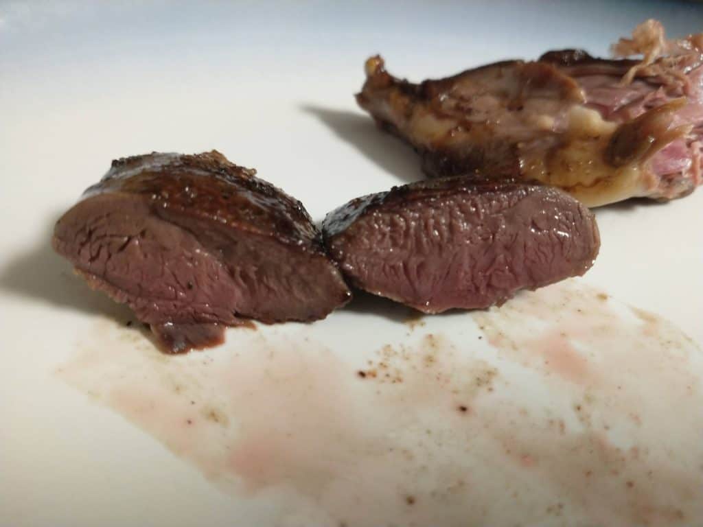 How To Hunt and Cook Coots Public Lands Journal