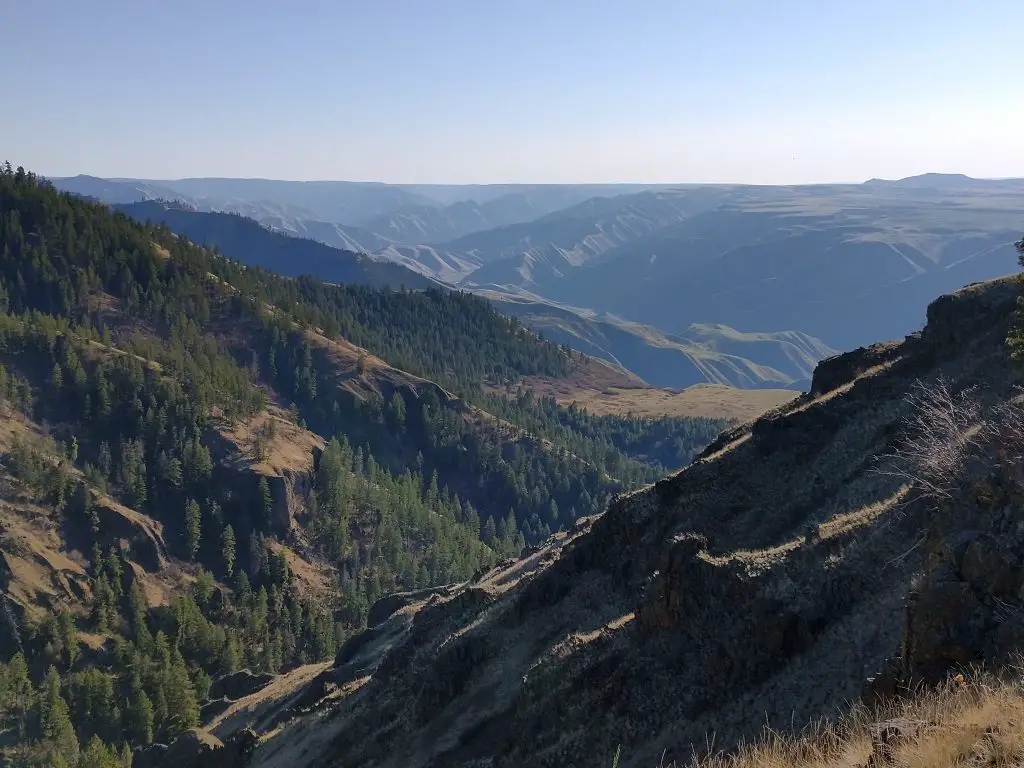 The forested areas on north-facing slopes (left side of the image) are an excellent example of locations where elk like to bed for the day.