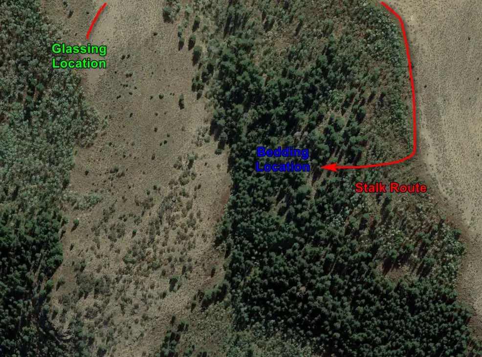 cow elk spotstalk 3 Reliable Cow Elk Hunting Tactics and When to Use Them