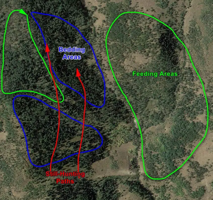 cow elk stillhunt 3 Reliable Cow Elk Hunting Tactics and When to Use Them