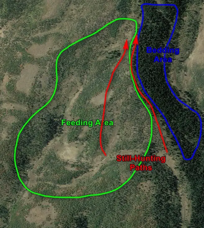 cow elk stillhunt2 3 Reliable Cow Elk Hunting Tactics and When to Use Them